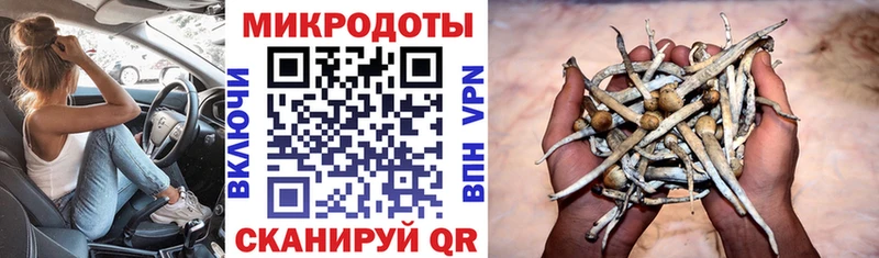 кракен как зайти  Кисловодск  Галлюциногенные грибы мухоморы  купить  сайты 