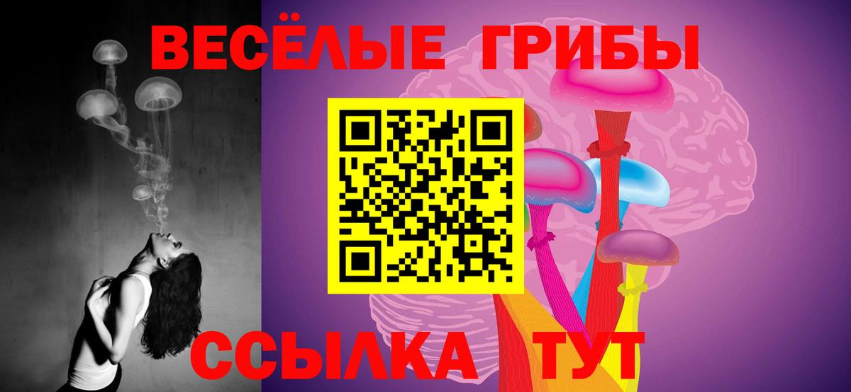 Кисловодск  Псилоцибиновые грибы Magic Shrooms  Псилоцибиновые грибы мицелий  Вход с VPN 
